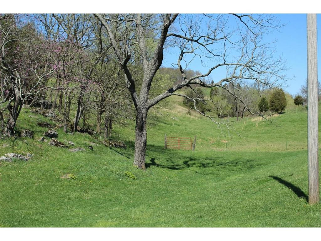 3475 Jearoldstown Road Chuckey, TN 37641 - Photo 5 of 24 Photo 5