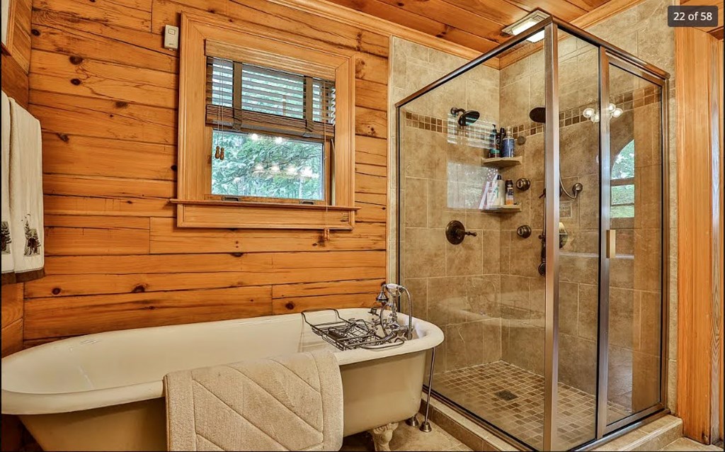 1427 Cherry Lake Drive Blue Ridge, GA 30513 - Photo 23 of 93