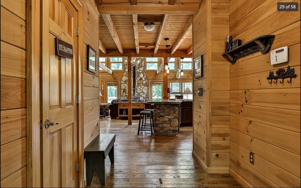 1427 Cherry Lake Drive Blue Ridge, GA 30513 - Photo 30 of 93