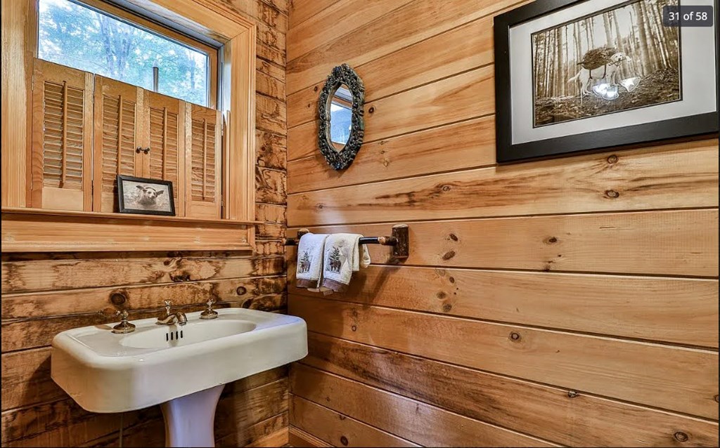 1427 Cherry Lake Drive Blue Ridge, GA 30513 - Photo 32 of 93