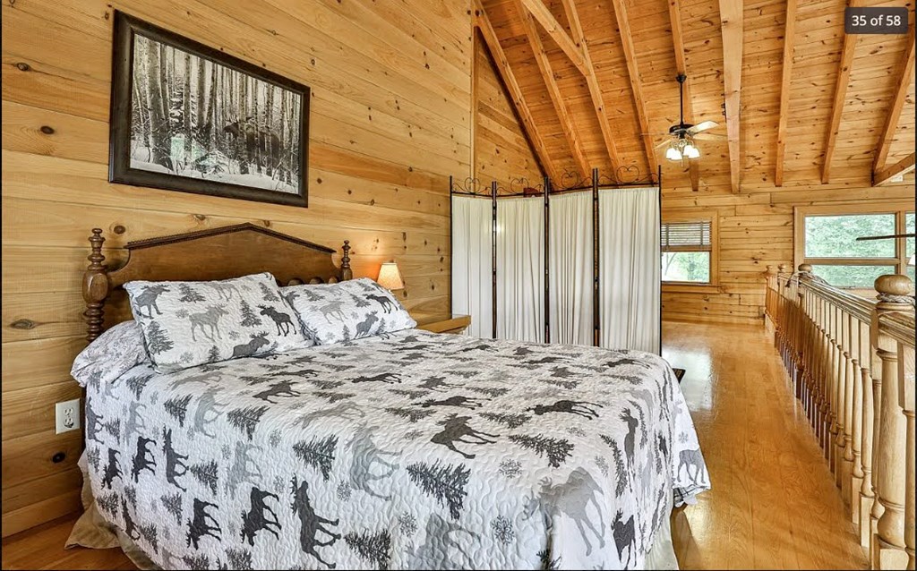 1427 Cherry Lake Drive Blue Ridge, GA 30513 - Photo 36 of 93