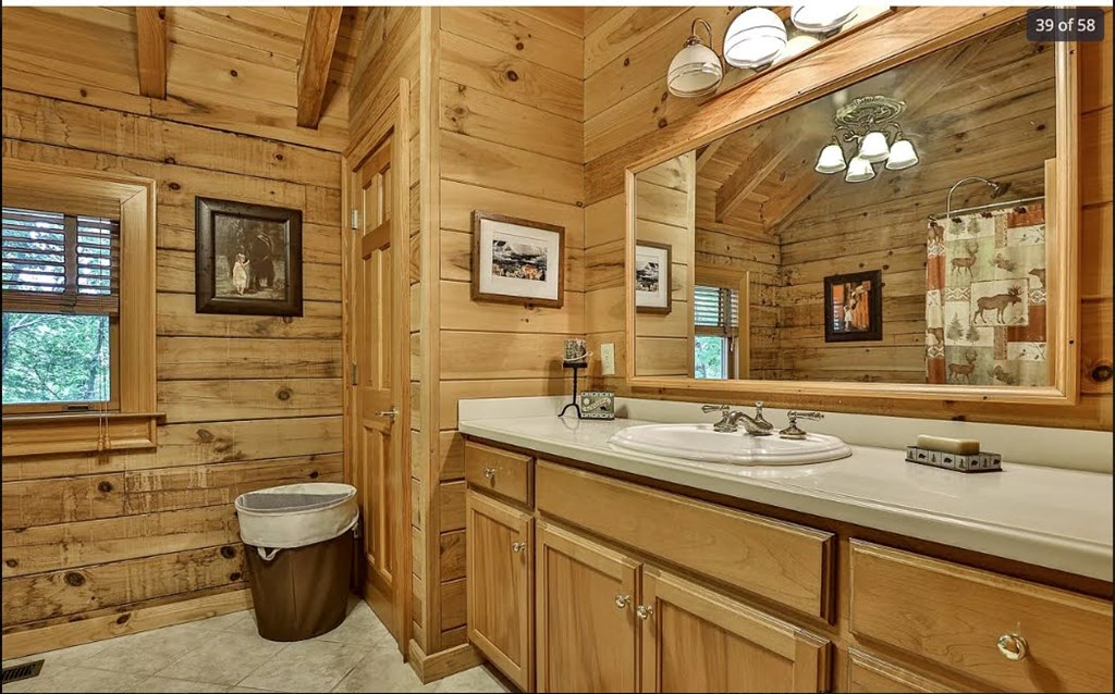 1427 Cherry Lake Drive Blue Ridge, GA 30513 - Photo 40 of 93