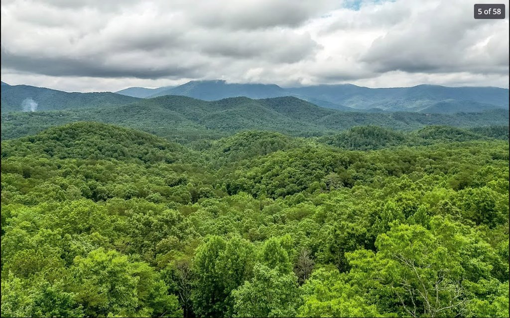 1427 Cherry Lake Drive Blue Ridge, GA 30513 - Photo 4 of 93