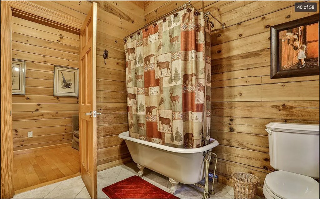 1427 Cherry Lake Drive Blue Ridge, GA 30513 - Photo 41 of 93