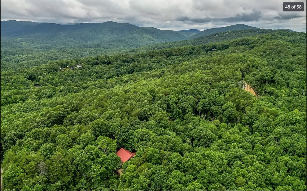 1427 Cherry Lake Drive Blue Ridge, GA 30513 - Photo 48 of 93