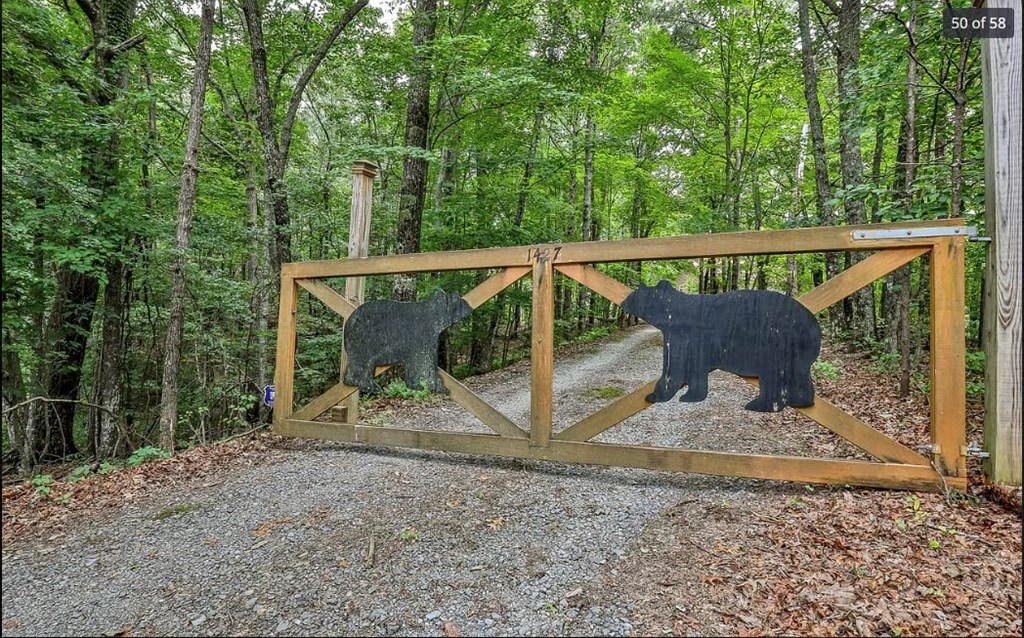 1427 Cherry Lake Drive Blue Ridge, GA 30513 - Photo 50 of 93