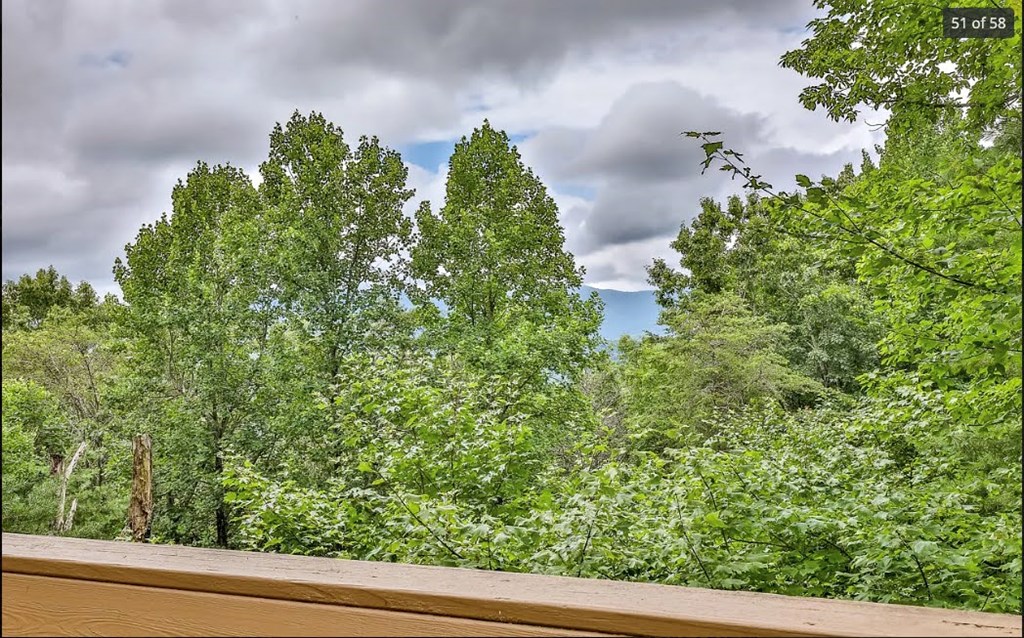 1427 Cherry Lake Drive Blue Ridge, GA 30513 - Photo 51 of 93