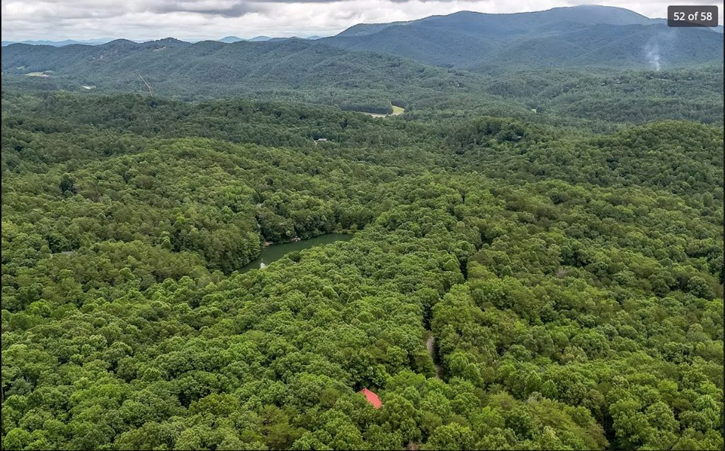 1427 Cherry Lake Drive Blue Ridge, GA 30513 - Photo 52 of 93