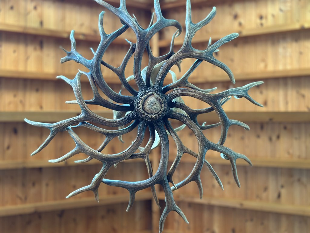 1427 Cherry Lake Drive Blue Ridge, GA 30513 - Photo 54 of 93