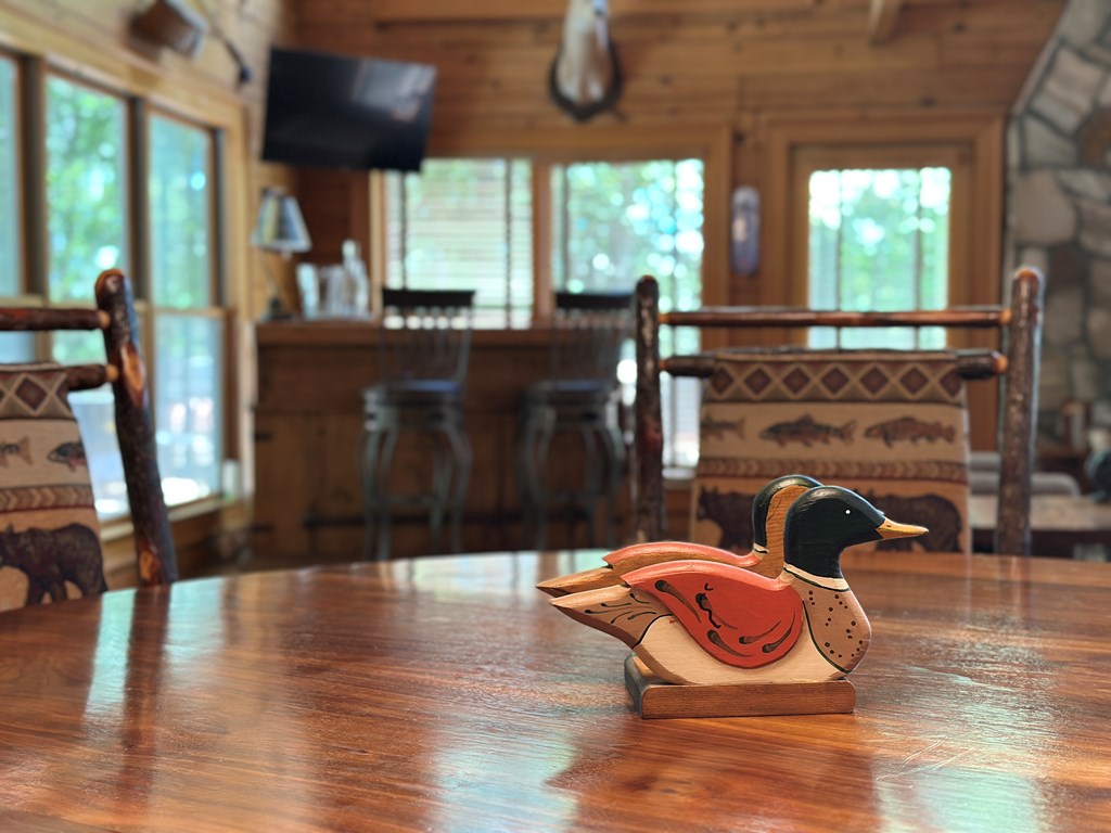 1427 Cherry Lake Drive Blue Ridge, GA 30513 - Photo 55 of 93