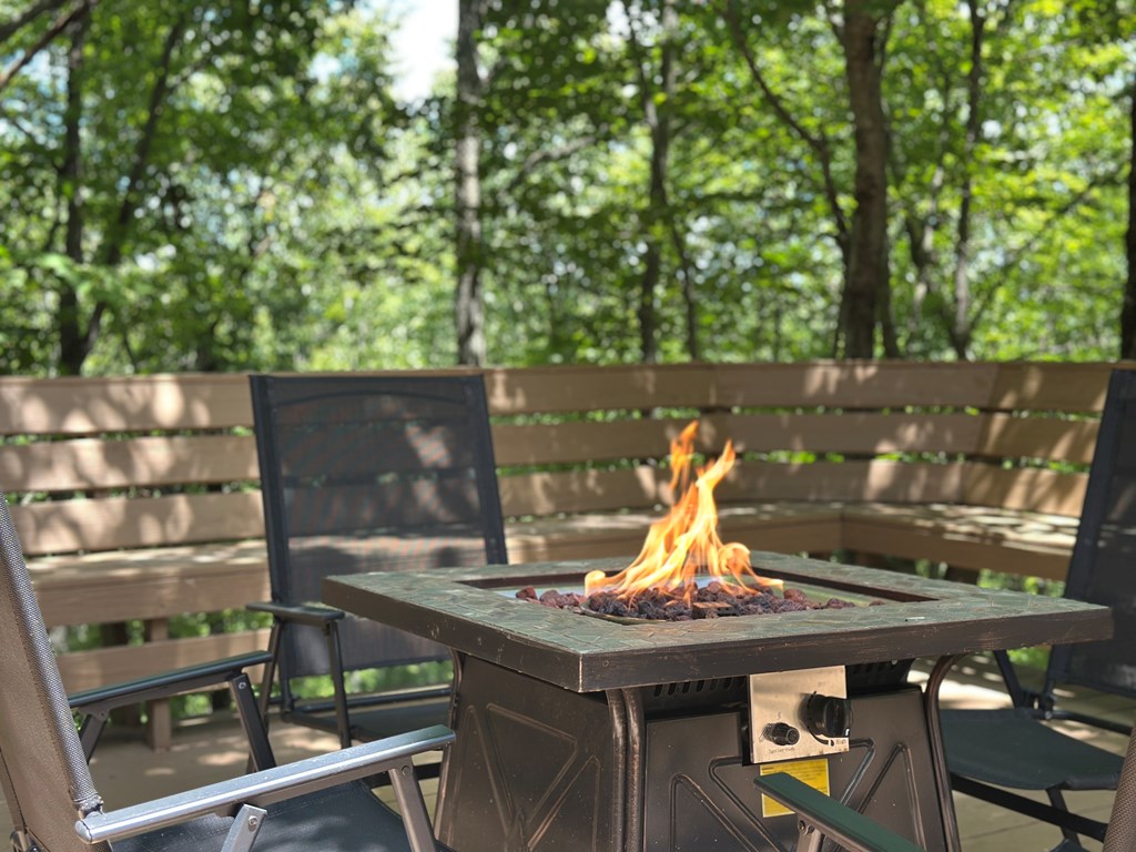 1427 Cherry Lake Drive Blue Ridge, GA 30513 - Photo 56 of 93