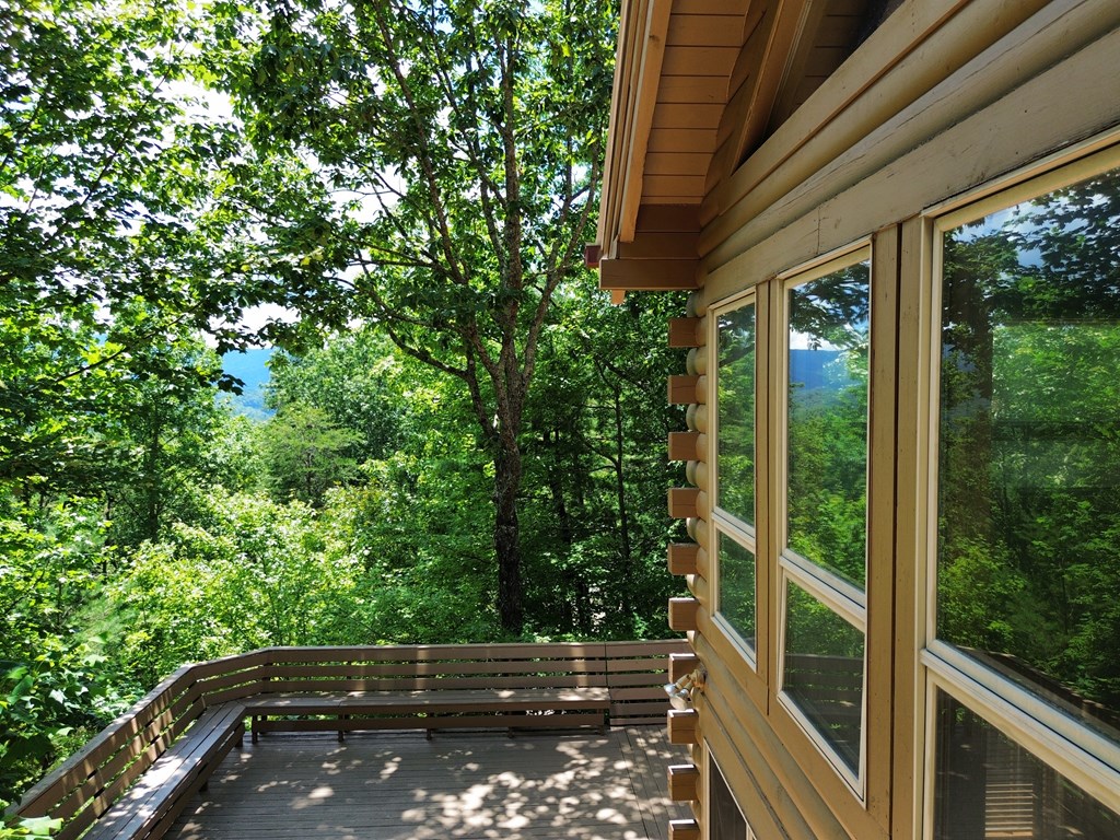 1427 Cherry Lake Drive Blue Ridge, GA 30513 - Photo 58 of 93