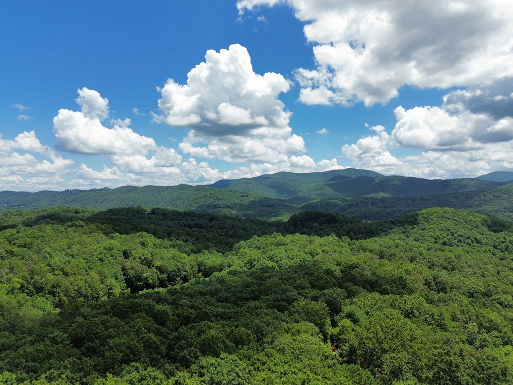 1427 Cherry Lake Drive Blue Ridge, GA 30513 - Photo 59 of 93