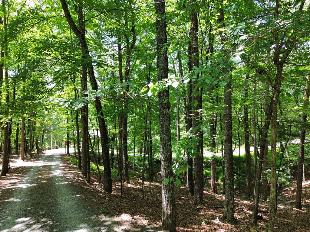 1427 Cherry Lake Drive Blue Ridge, GA 30513 - Photo 61 of 93