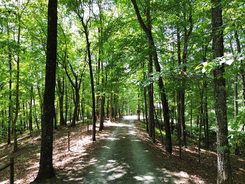 1427 Cherry Lake Drive Blue Ridge, GA 30513 - Photo 62 of 93