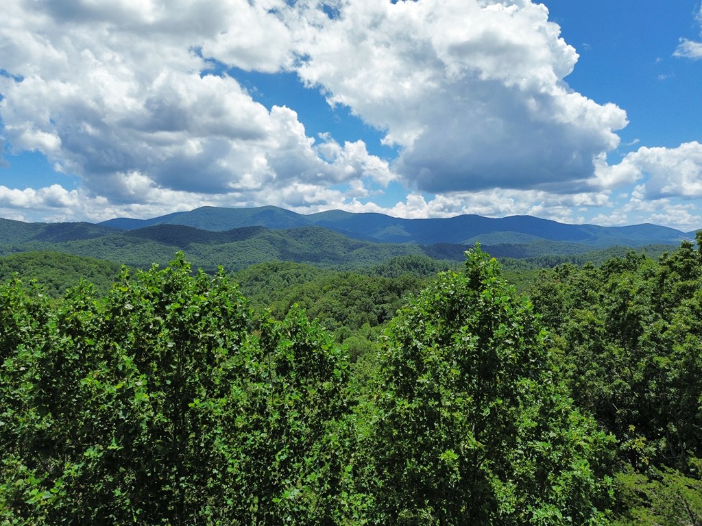 1427 Cherry Lake Drive Blue Ridge, GA 30513 - Photo 65 of 93