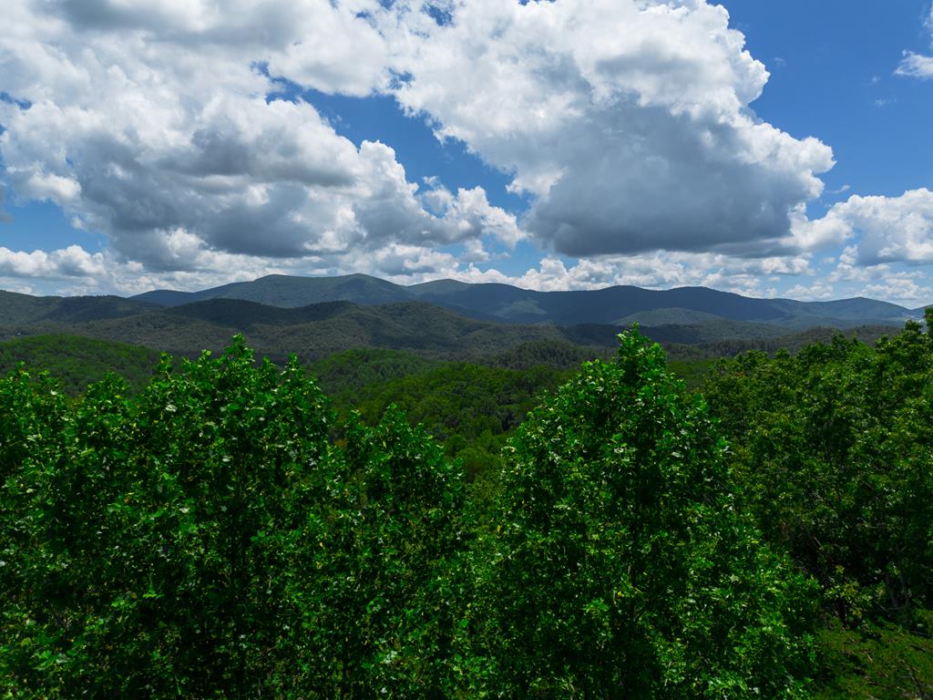 1427 Cherry Lake Drive Blue Ridge, GA 30513 - Photo 67 of 93