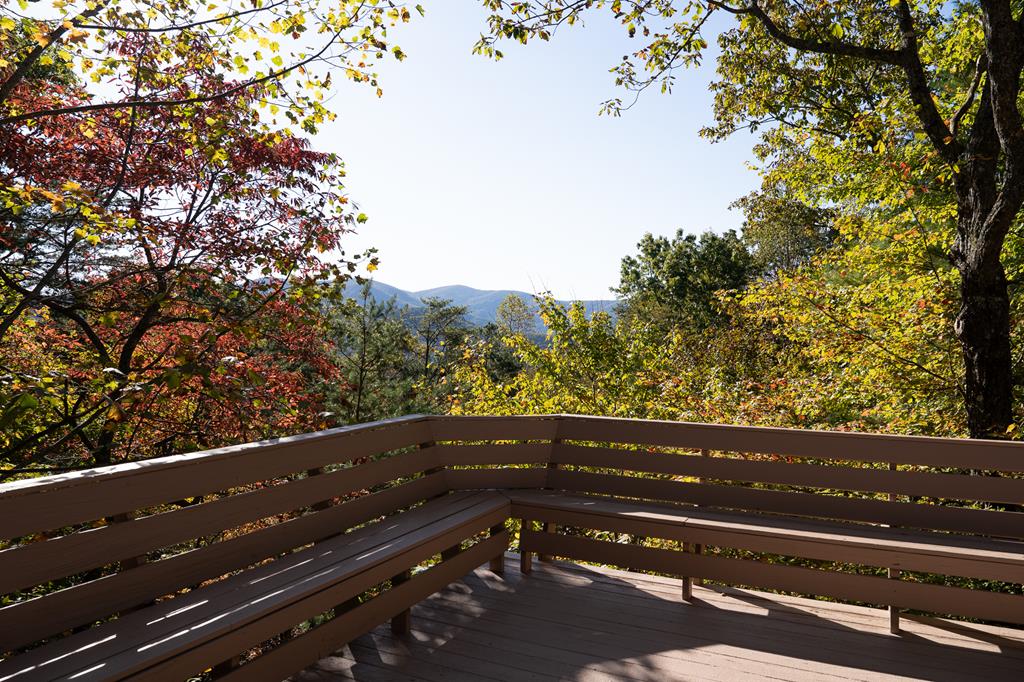 1427 Cherry Lake Drive Blue Ridge, GA 30513 - Photo 69 of 93