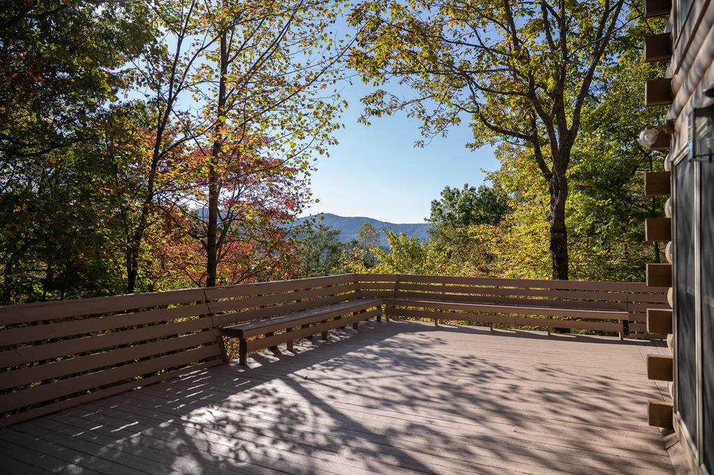 1427 Cherry Lake Drive Blue Ridge, GA 30513 - Photo 70 of 93