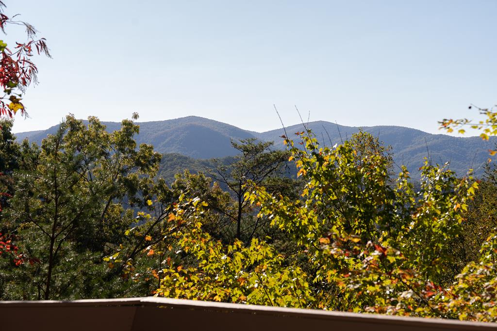 1427 Cherry Lake Drive Blue Ridge, GA 30513 - Photo 71 of 93