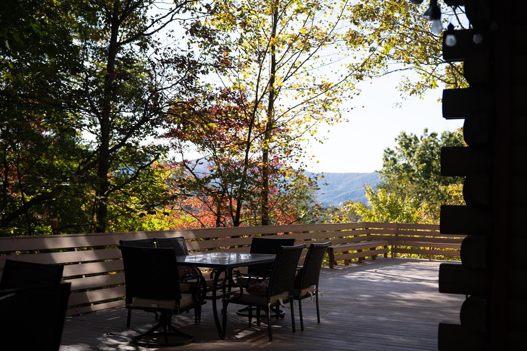 1427 Cherry Lake Drive Blue Ridge, GA 30513 - Photo 72 of 93