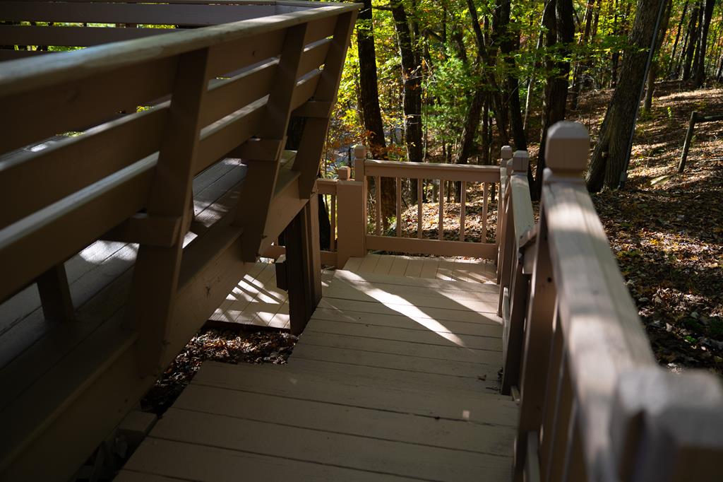 1427 Cherry Lake Drive Blue Ridge, GA 30513 - Photo 77 of 93