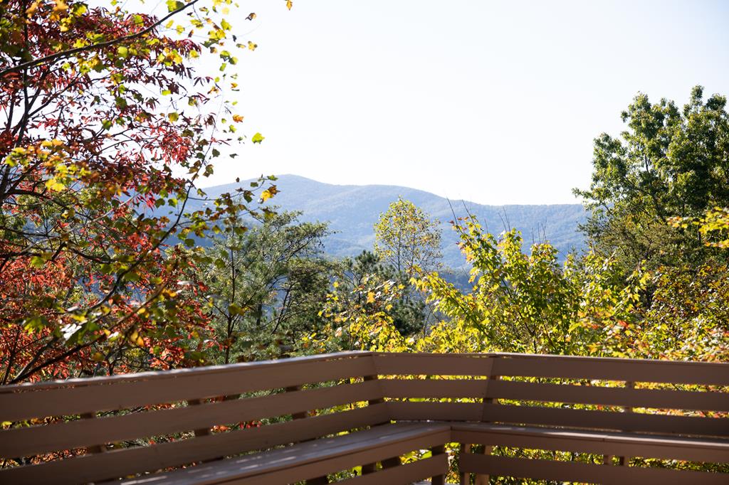 1427 Cherry Lake Drive Blue Ridge, GA 30513 - Photo 78 of 93