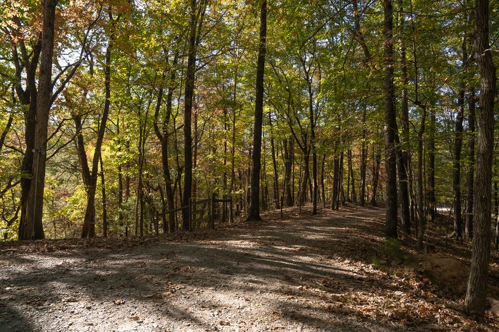 1427 Cherry Lake Drive Blue Ridge, GA 30513 - Photo 79 of 93