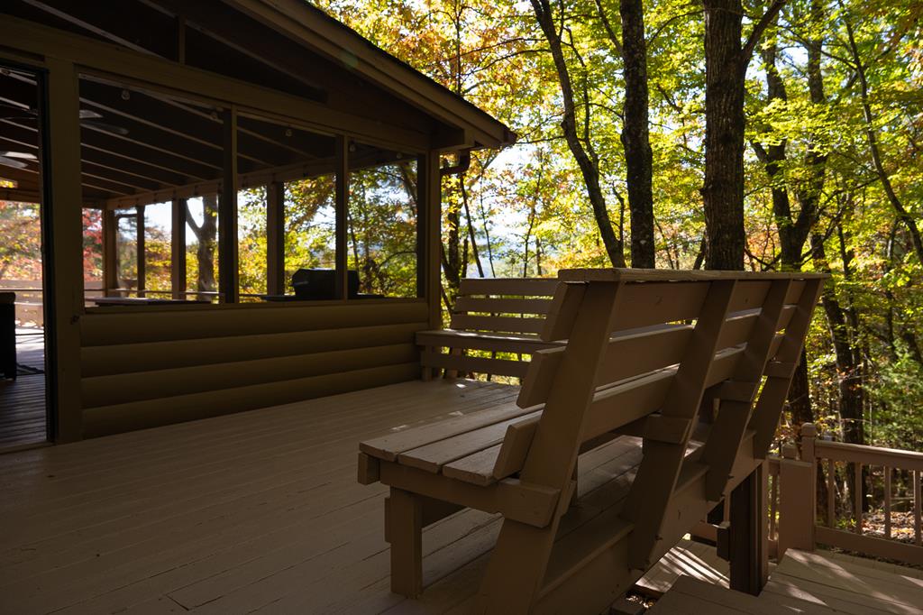 1427 Cherry Lake Drive Blue Ridge, GA 30513 - Photo 83 of 93