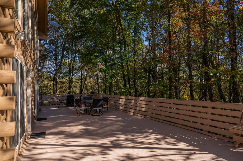 1427 Cherry Lake Drive Blue Ridge, GA 30513 - Photo 87 of 93