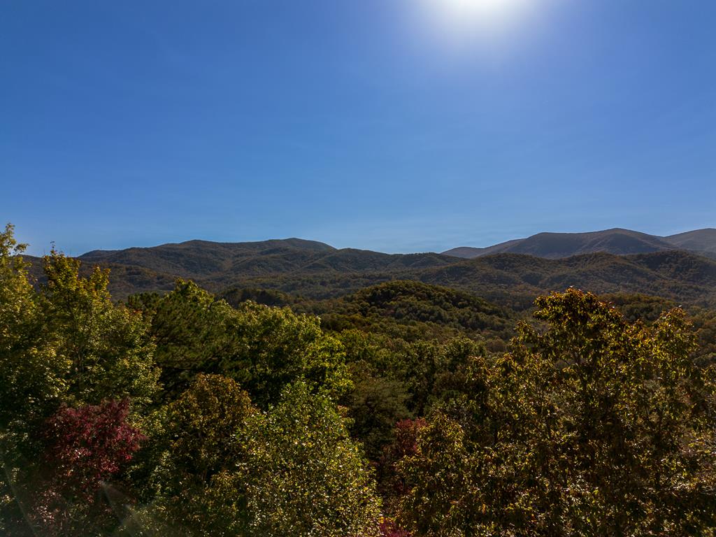 1427 Cherry Lake Drive Blue Ridge, GA 30513 - Photo 88 of 93