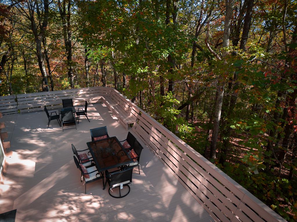 1427 Cherry Lake Drive Blue Ridge, GA 30513 - Photo 90 of 93