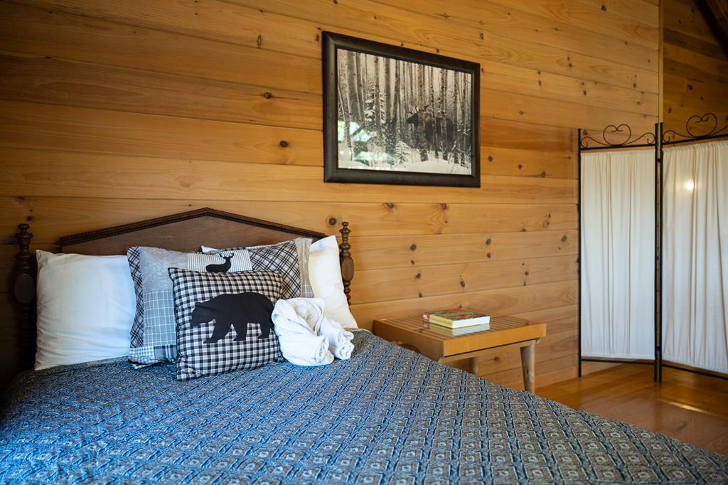 1427 Cherry Lake Drive Blue Ridge, GA 30513 - Photo 93 of 93