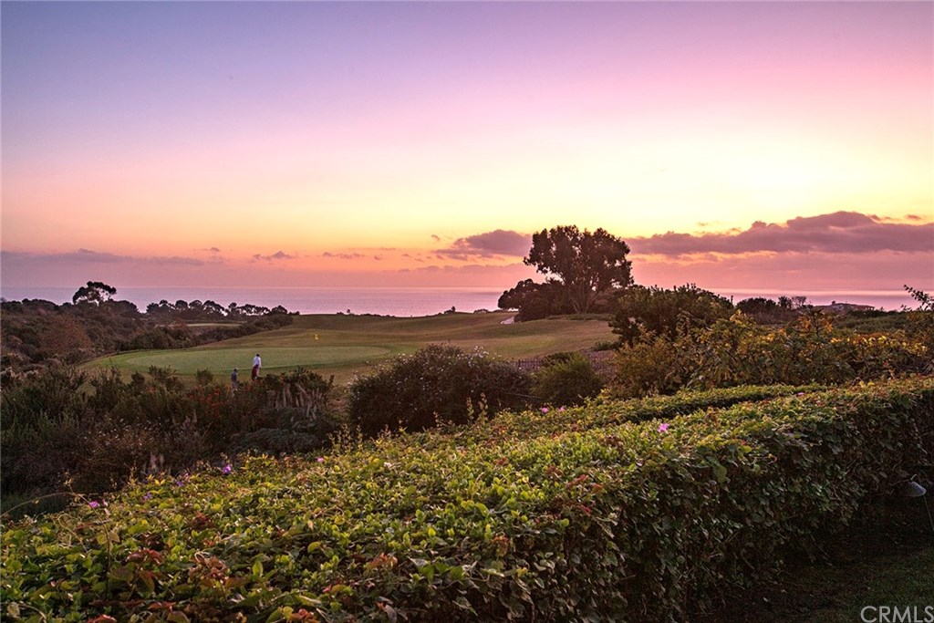 6 Premiere Newport Coast, CA 92657 - Photo 25 of 25