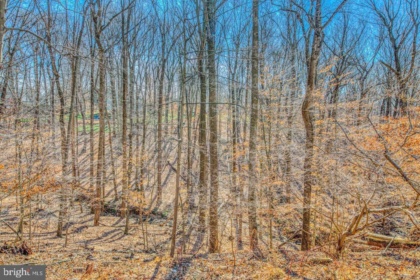 8 Crestmill Court Phoenix, MD 21131 - Photo 59 of 75