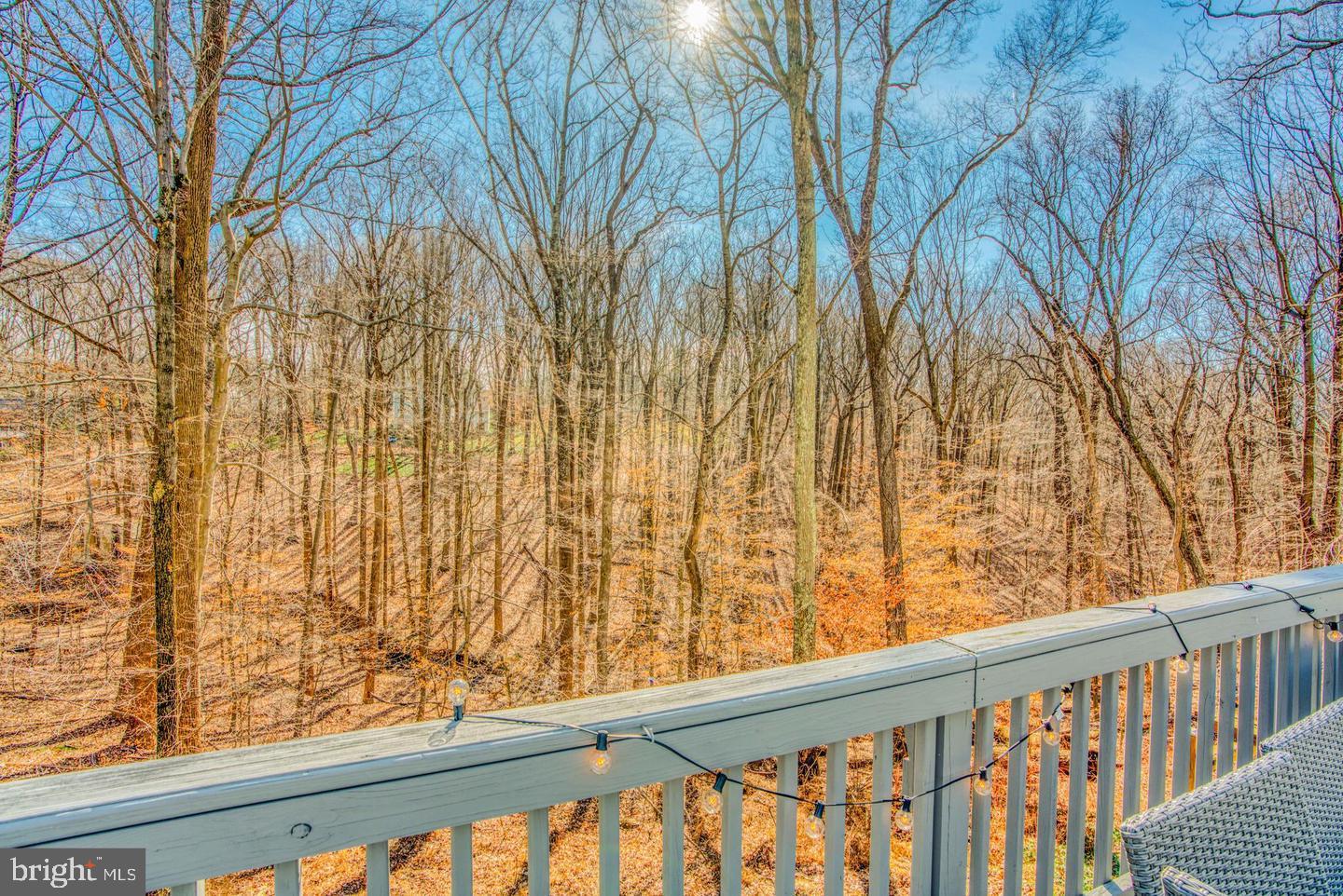 8 Crestmill Court Phoenix, MD 21131 - Photo 67 of 75