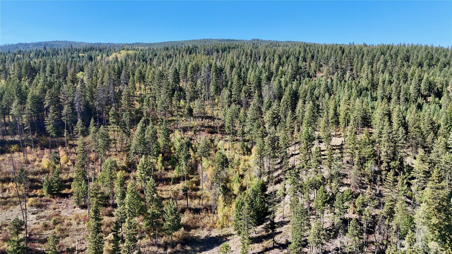 3 Deadman Creek Road Kettle Falls, WA 99141 - Photo 21 of 24 Gallery Image 21