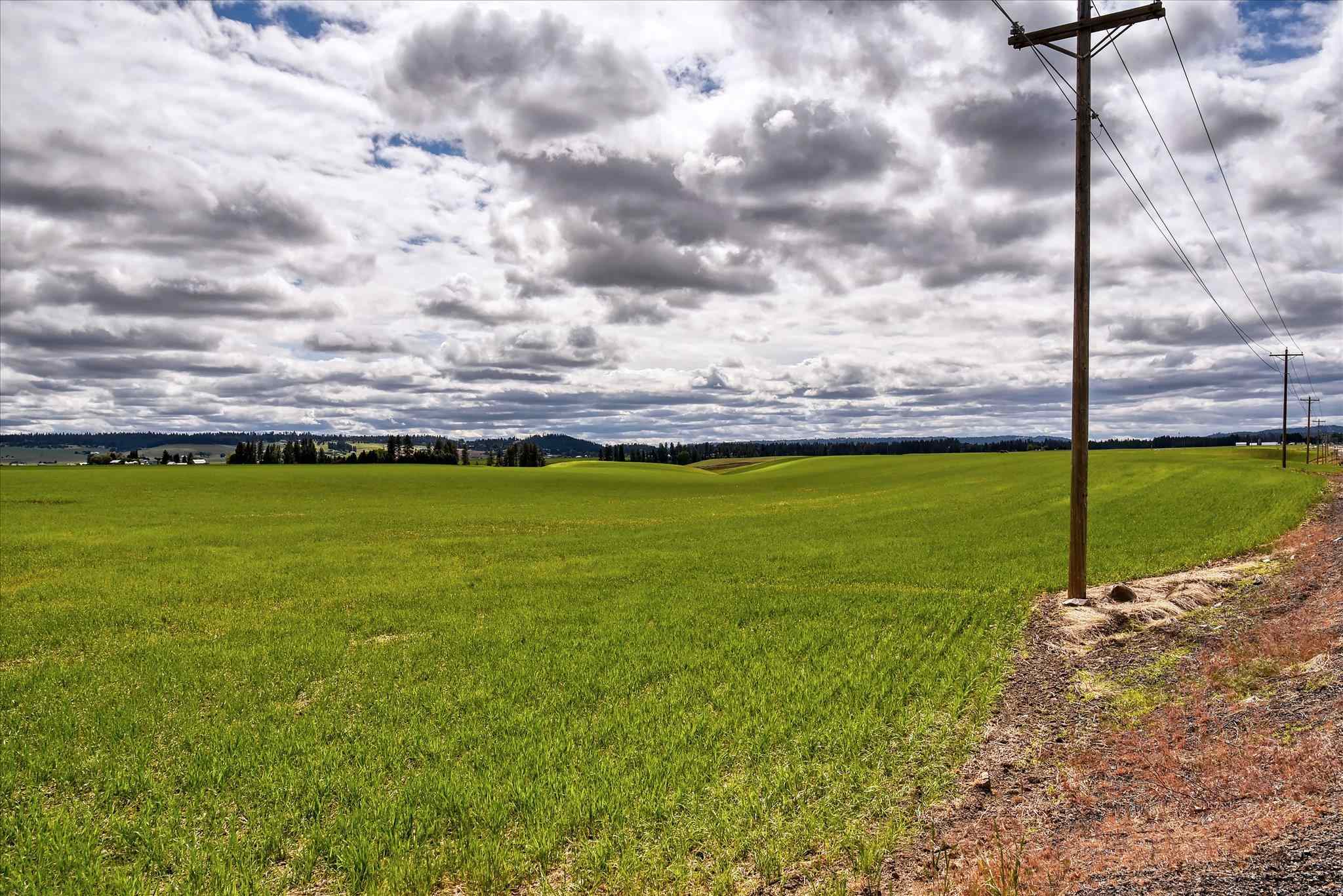 Xxx North Bruce Road, Unit LOT 2 Mead, WA 99021 - Photo 3 of 9