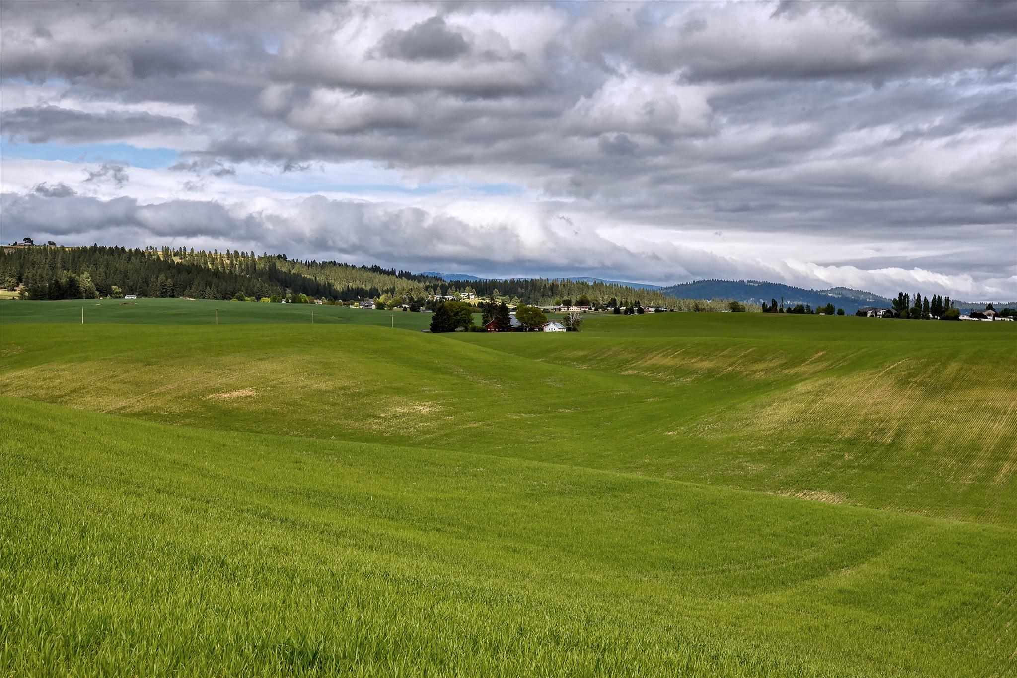 Xxx North Bruce Road, Unit LOT 2 Mead, WA 99021 - Photo 4 of 9