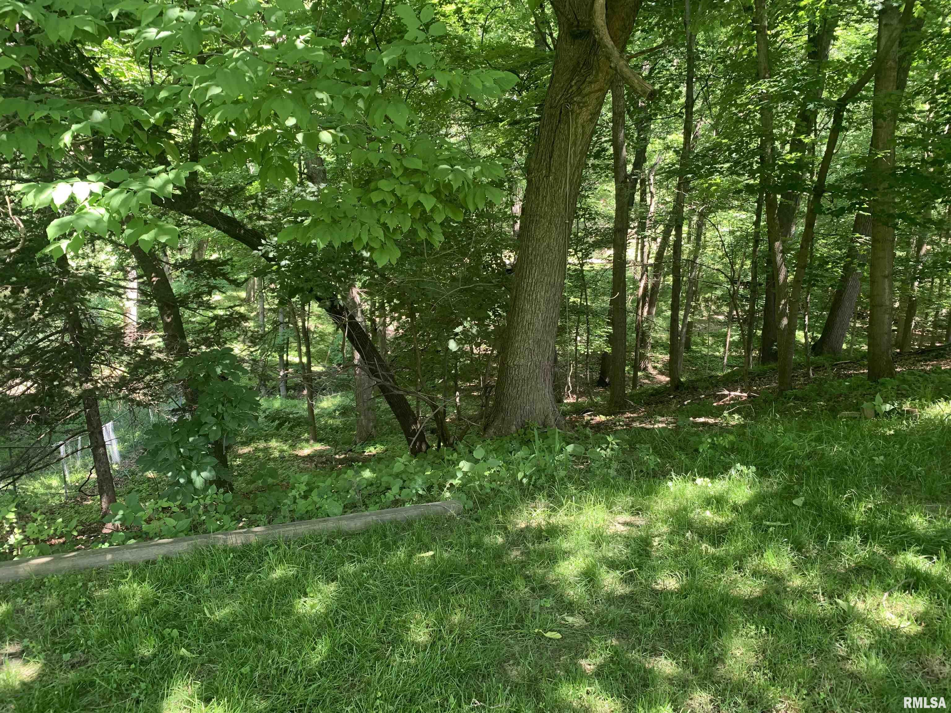 1811 East Maple Ridge Drive Peoria, IL 61603 - Photo 28 of 34