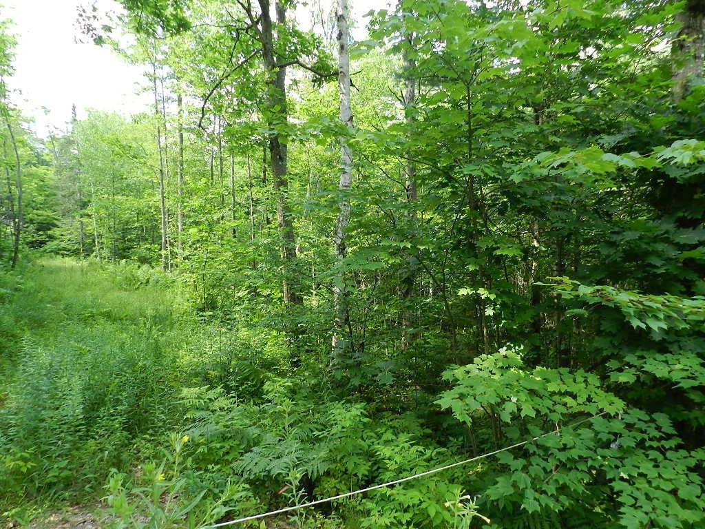Lot #4 Simeon Road Minot, ME 04258 - Photo 3 of 7 Photo
