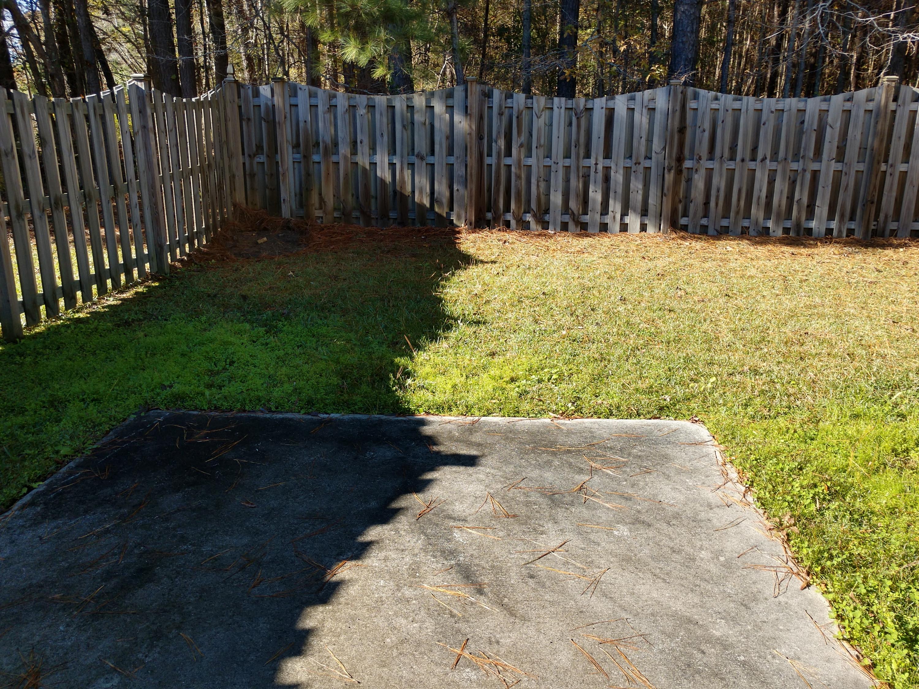 1204 Cosmos Road Summerville, SC 29483 - Photo 9 of 14 IMG_20181212_102645571_HDR
