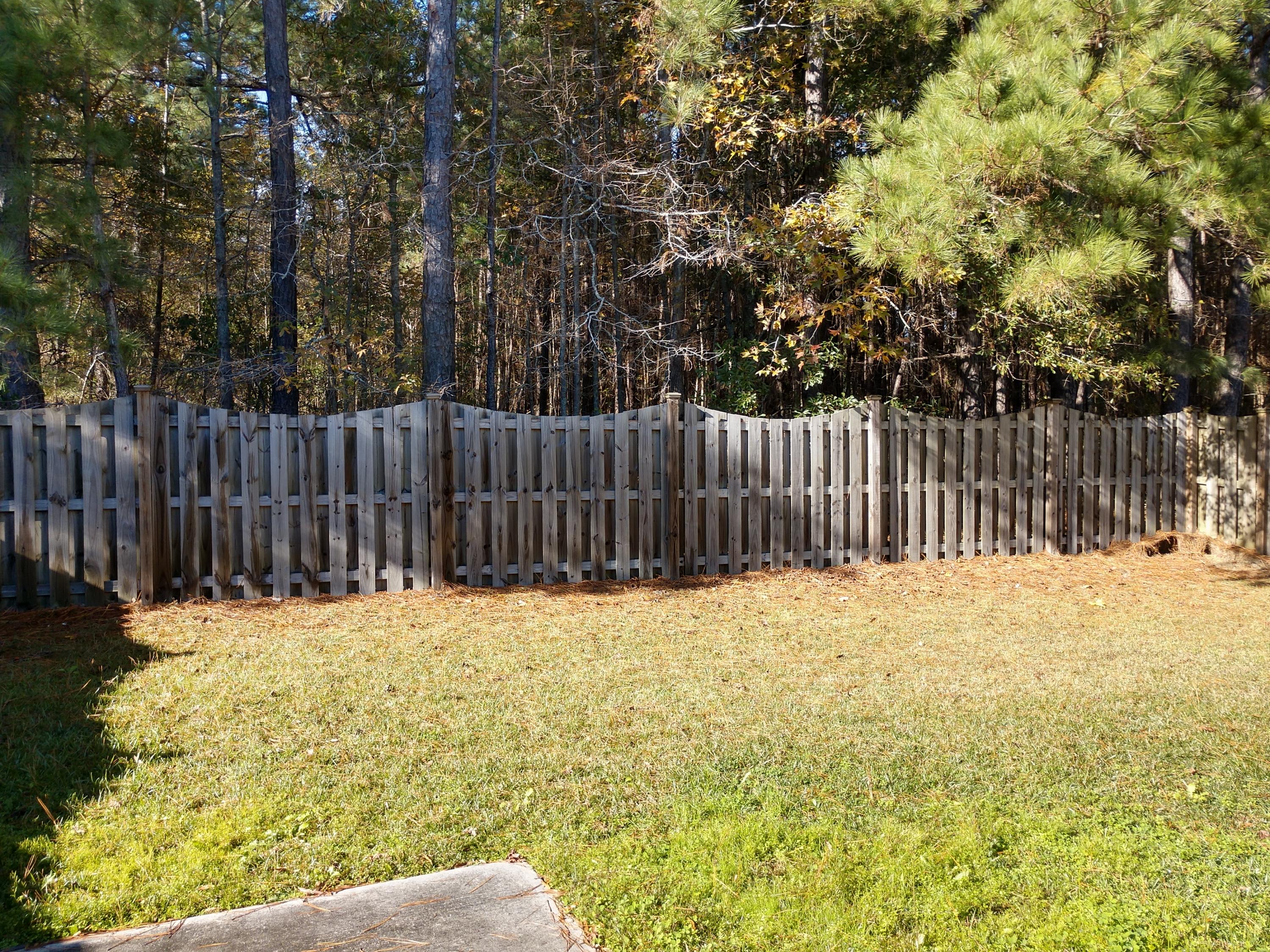 1204 Cosmos Road Summerville, SC 29483 - Photo 10 of 14 IMG_20181212_102641247_HDR