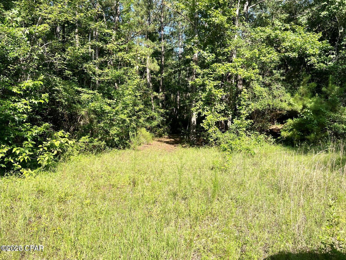 0 Broom Road Bonifay, FL 32425 - Photo 9 of 10