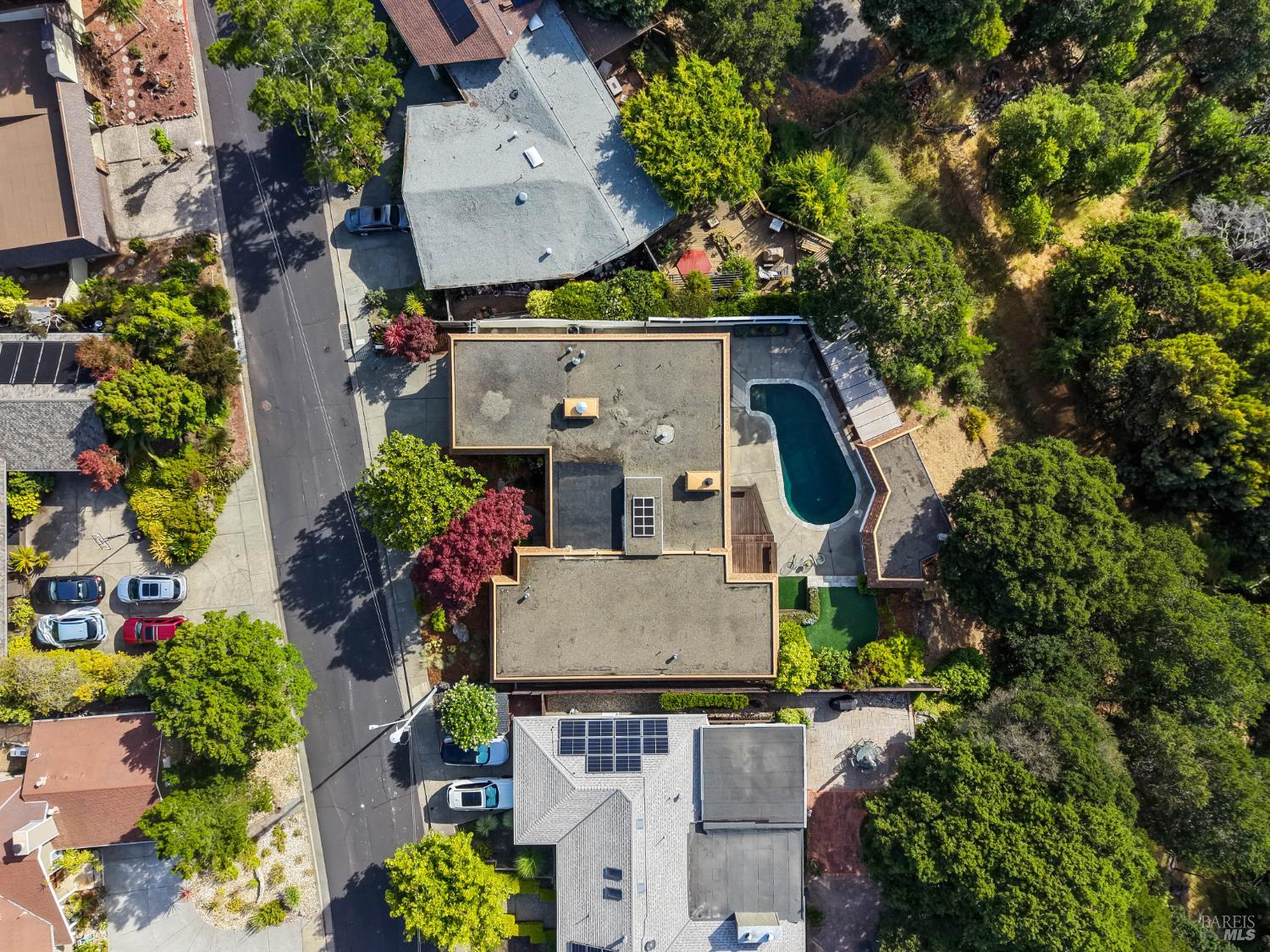 148 Dominican Drive San Rafael, CA 94901 - Photo 55 of 60 an aerial view of a house with large trees and a yard