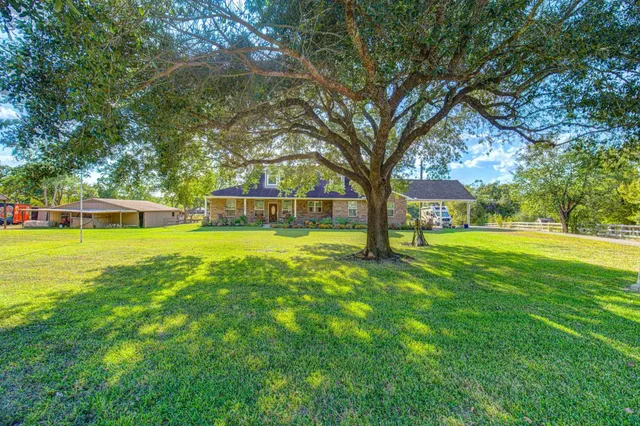 a view of a park with large trees