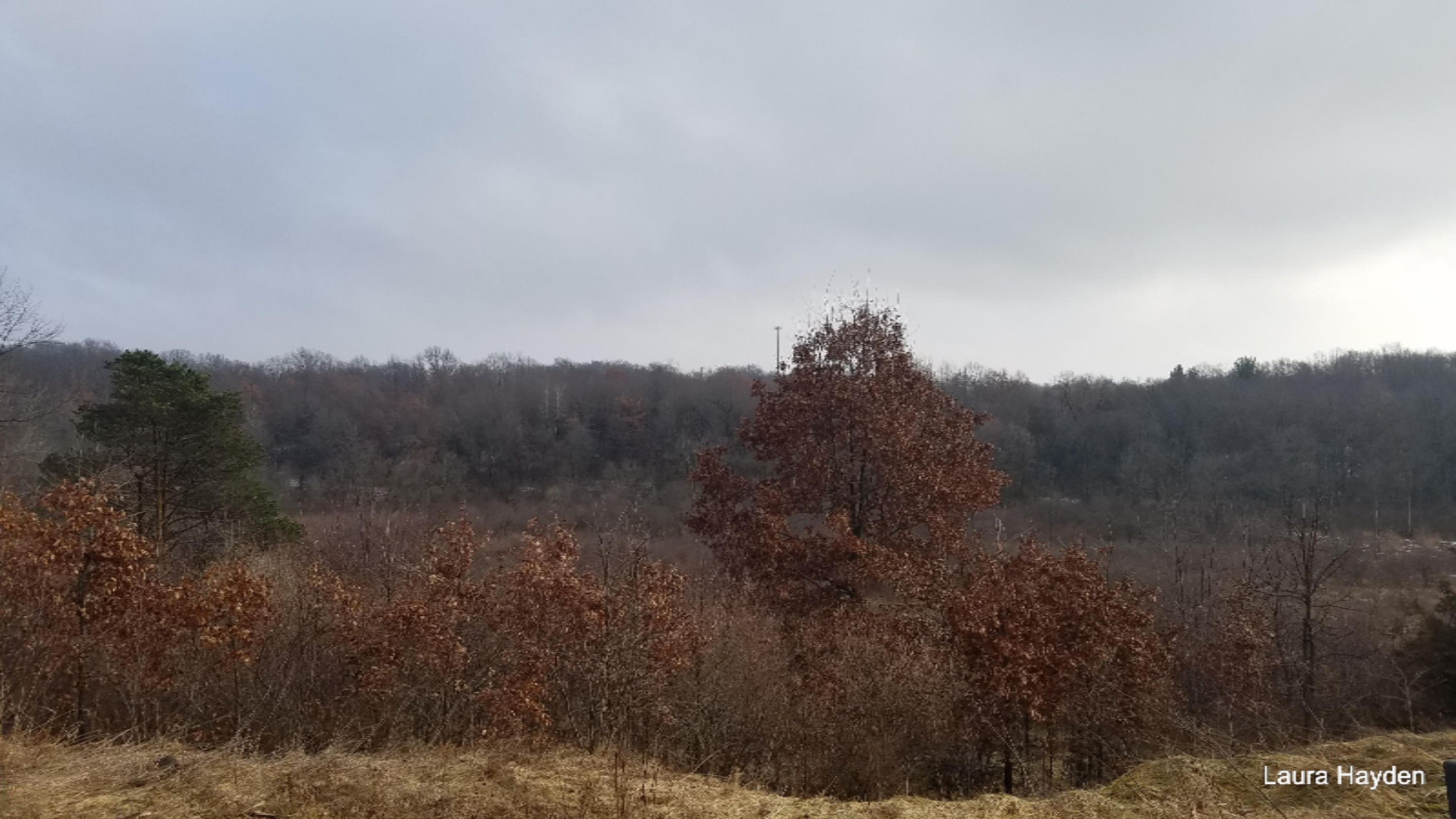 2640 Welch Road Ionia, MI 48846 - Photo 5 of 17 20170121_142541
