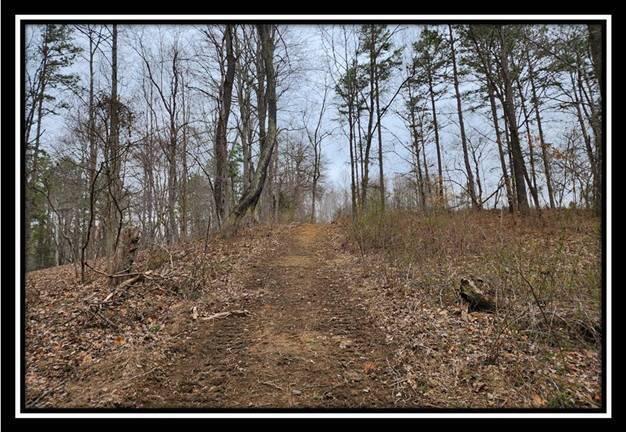 0 Metheny Fairplay Road, Unit TRACT 4) Vinton, OH 45686 - Photo 30 of 44 image030