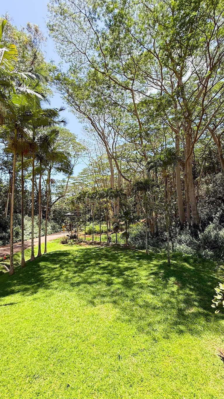 3278 Wawae Road, Unit 1 Kalaheo, HI 96741 - Photo 19 of 22