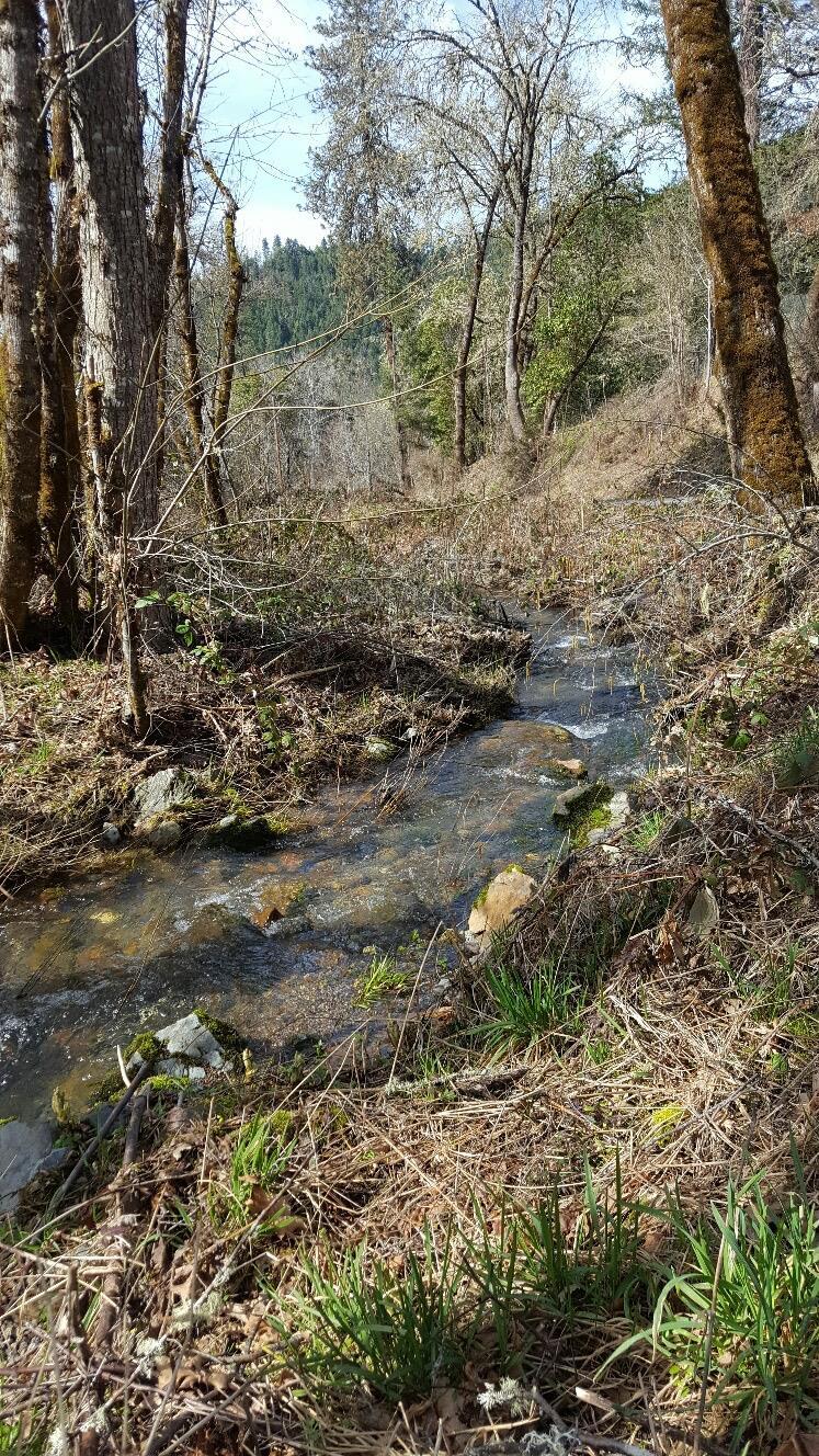 535 Murphy Gulch Road Rogue River, OR 97537 - Photo 22 of 25 Additional Photo